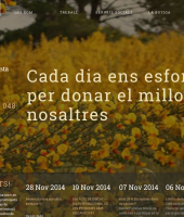 Fundació Ginesta (web)